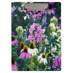 Rosa Garten-Phlox-Landschaft mit Kegelblumen Klemmbrett