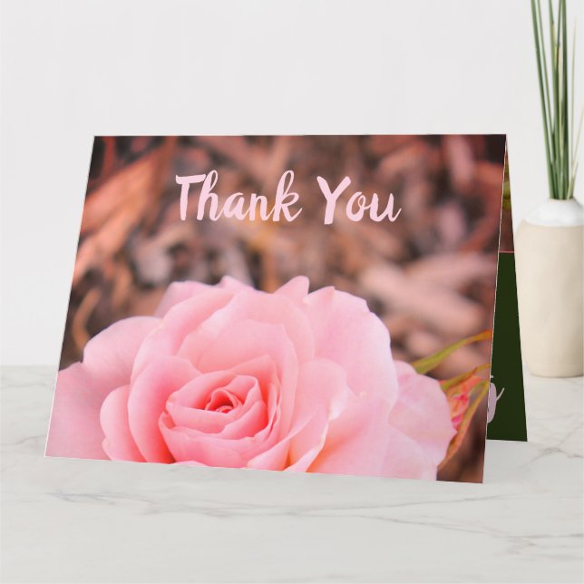 Rosa-Garten-Rose Karte (Vorderseite)