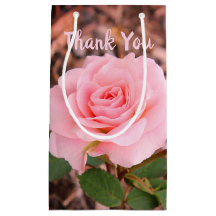 Rosa-Garten-Rose