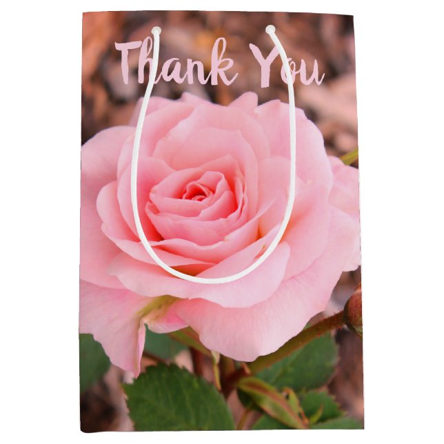 Rosa-Garten-Rose Mittlere Geschenktüte (Vorderseite)