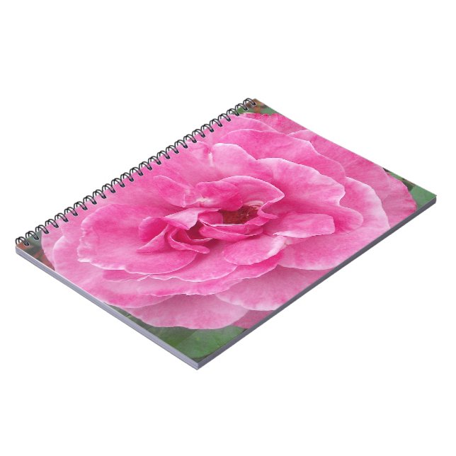 Rosa-Garten-Rose Notizblock (Linke Seite)