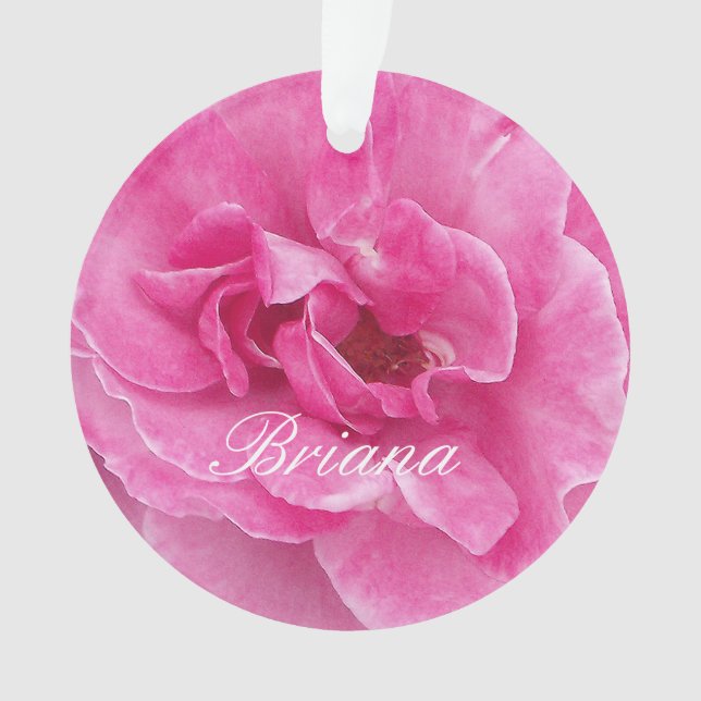 Rosa-Garten-Rose Ornament (Vorderseite)