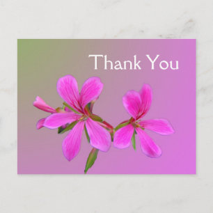Rosa Gartenblumen Dankeschön Postkarten. Postkarte