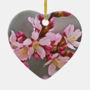 Rosa gegen einen grauen Himmel Japanische Kirschbl Keramikornament