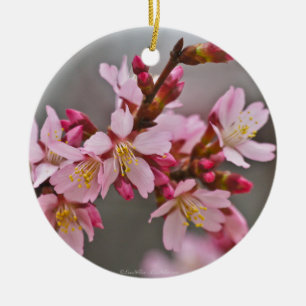 Rosa gegen einen grauen Himmel Japanische Kirschbl Keramikornament