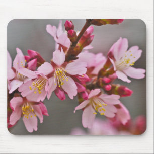 Rosa gegen einen grauen Himmel Japanische Kirschbl Mousepad