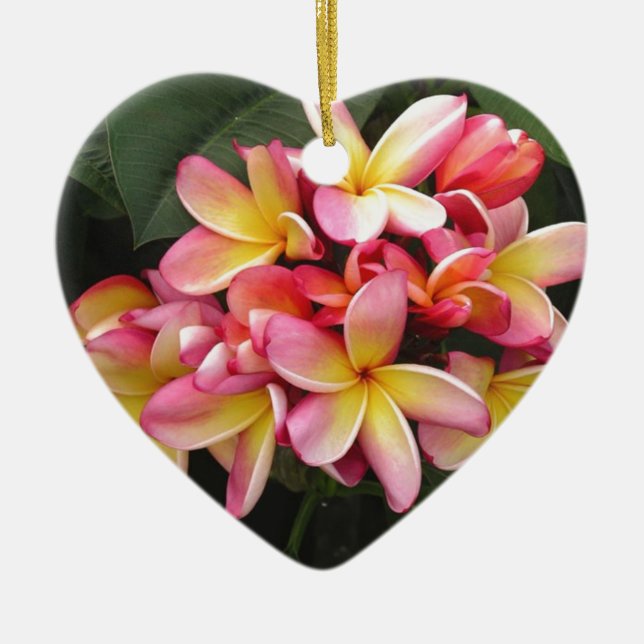 Rosa, Gelb und Rot-Plumeria-Blume Keramikornament (Vorne)