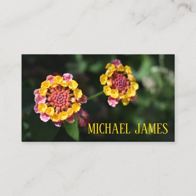 Rosa Gelbe Lantana Blume Blumengarten Foto Visitenkarte (Vorderseite)