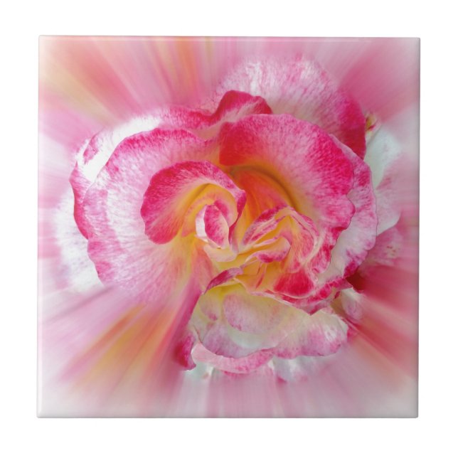 Rosa gelbe Rose Fliese (Vorderseite)