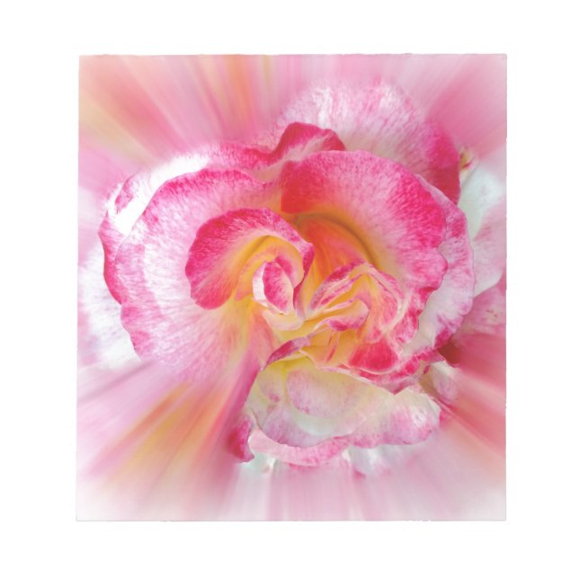 Rosa gelbe Rose Notizblock (Vorderseite)