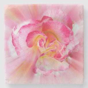 Rosa gelbe Rose Steinuntersetzer