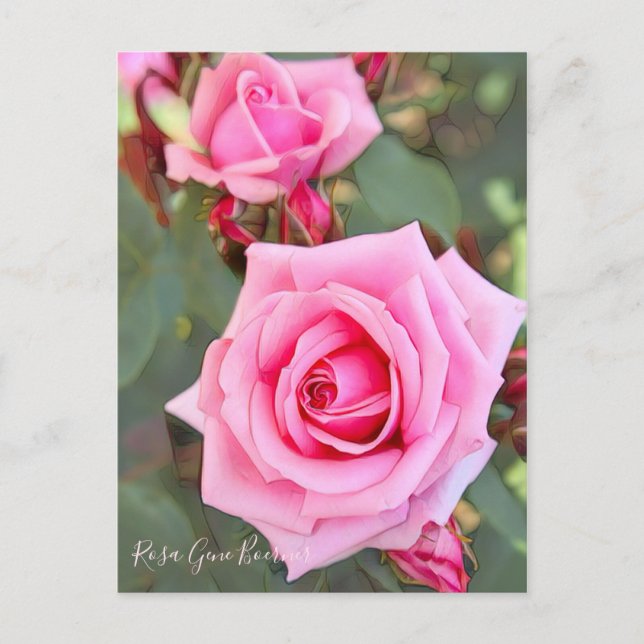 Rosa Gene Boerner [Postkarte] Postkarte (Vorderseite)
