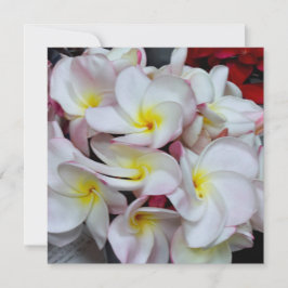 Rosa gerandete Plumeria-Blüten – Tropische Floraln Mitteilungskarte