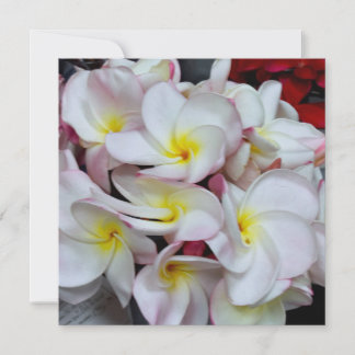 Rosa gerandete Plumeria-Blüten – Tropische Floraln Mitteilungskarte