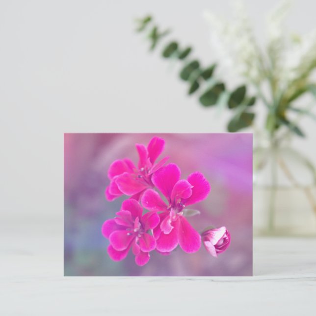 Rosa Geranium Blume Postkarte | Fotografie (Stehend Vorderseite)