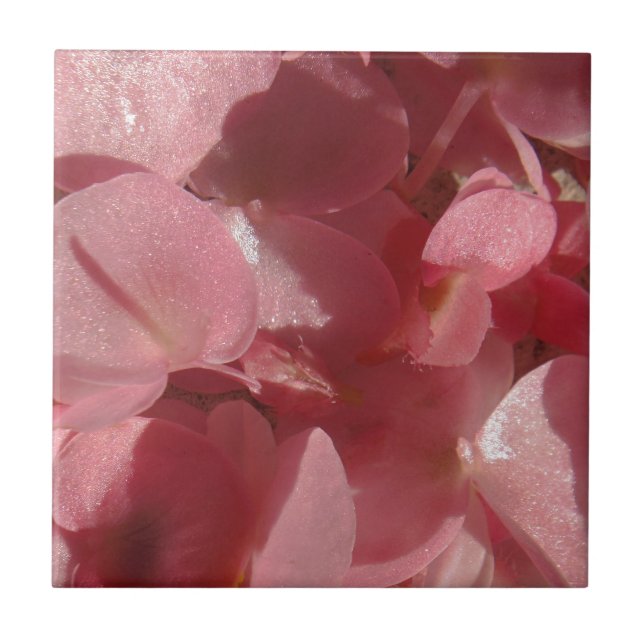 Rosa Geranium: fast massiv, hellrosa Fliese (Vorderseite)