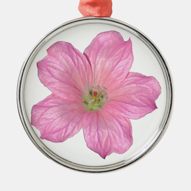 Rosa Geranium Silbernes Ornament (Vorne)