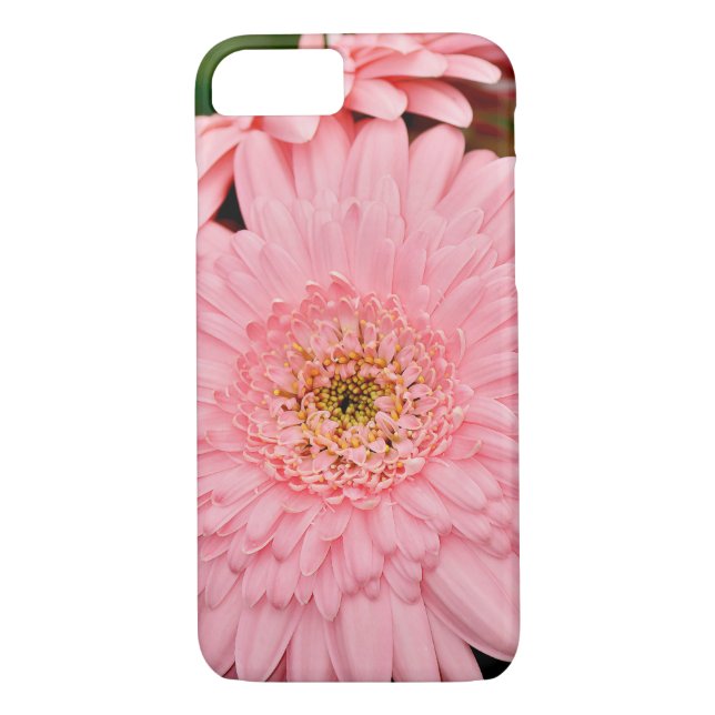 Rosa-Gerber-Blume Case-Mate iPhone Hülle (Rückseite)
