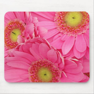 Rosa Gerber Gänseblümchen Mousepad