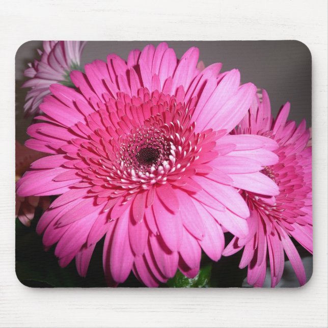 Rosa Gerber Gänseblümchen Mousepad (Vorne)