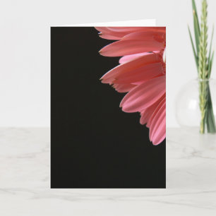 Rosa Gerbera auf Schwarzem Karte