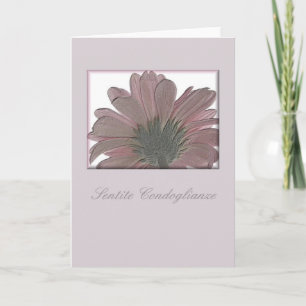Rosa Gerbera Beileid Italia Karte