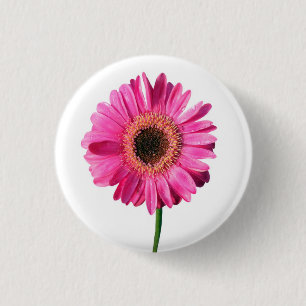Rosa Gerbera Blume Button / Abzeichen