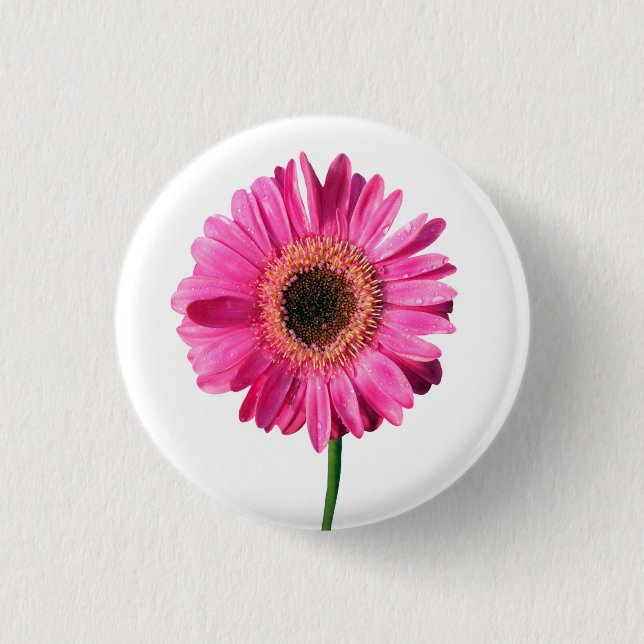 Rosa Gerbera Blume Button / Abzeichen (Vorderseite)