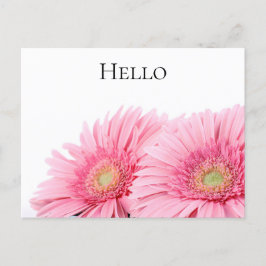 Rosa Gerbera Daisies Elegante Fotografie Postkarte
