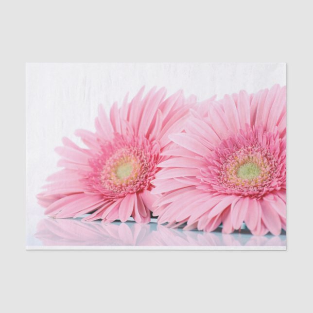 Rosa Gerbera Daisies Elegante Fotografie Seidenpapier (Vorderseite)
