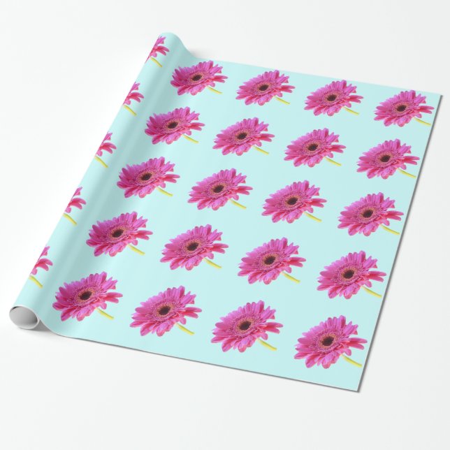 Rosa Gerbera Daisy über blauen Hintergrund Geschenkpapier (Ungerollt)