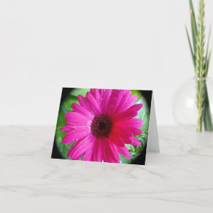 Rosa Gerbera-Gänseblümchen notecard Karte