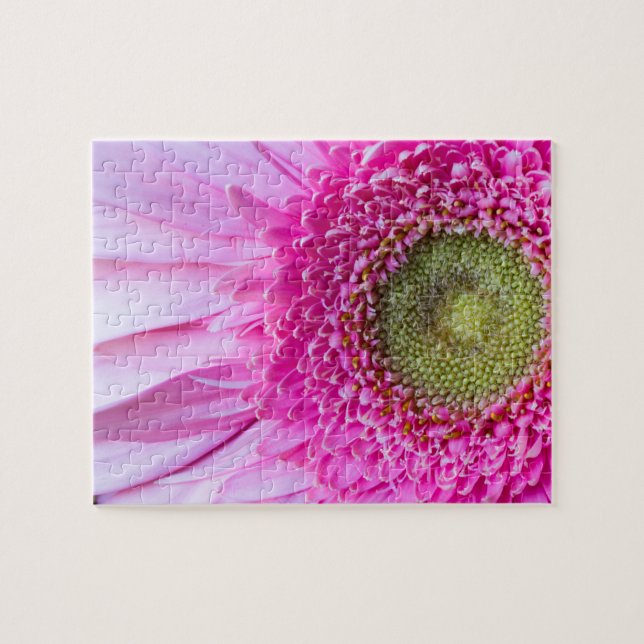 Rosa Gerbera-Gänseblümchen-Puzzlespiel (Horizontal)