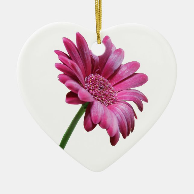 Rosa Gerbera-Gänseblümchen-Verzierung Keramikornament (Vorne)