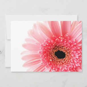 Rosa Gerbera-Margerite Dankeskarte