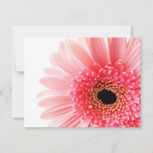 Rosa Gerbera-Margerite Mitteilungskarte