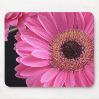 Rosa Gerbera Mousepad