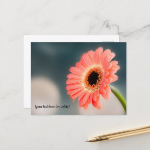 Rosa Gerbera-Postkarte Postkarte