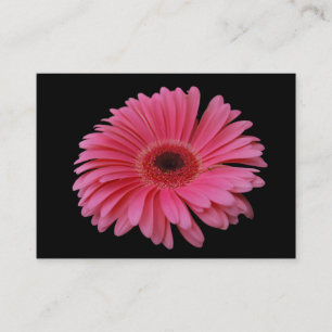 Rosa Gerbera-Schwarzes ACEO Visitenkarte