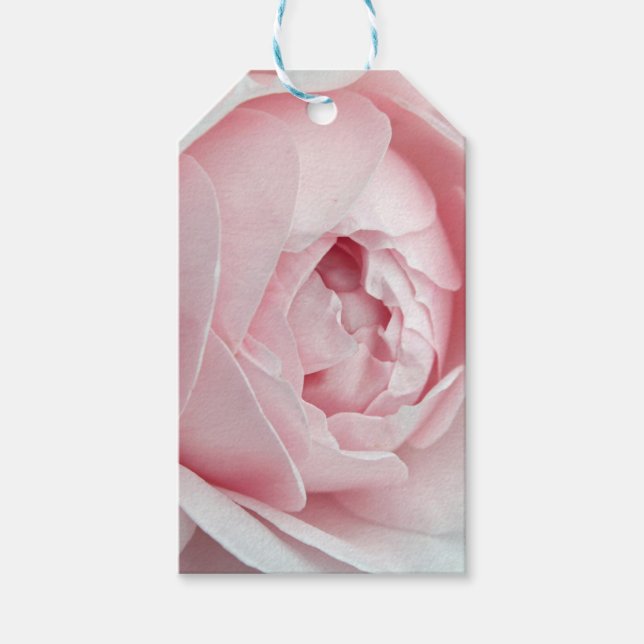 Rosa-Geschenk-Tag Geschenkanhänger (Vorderseite)