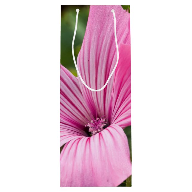 Rosa Geschenktüte Für Weinflaschen (Rückseite)