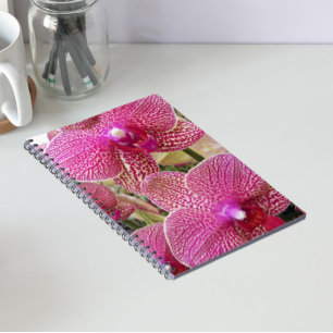 Rosa gesprenkelte Phalaenopsis-Orchideen-Blumen Notizblock