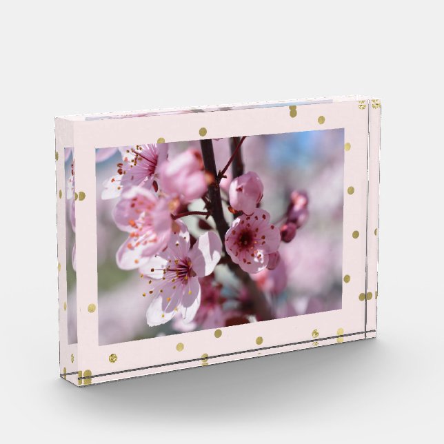 Rosa Goldscheinconfetti-personalisiertes Foto (Links)