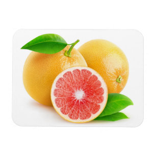 Rosa Grapefruits Magnet