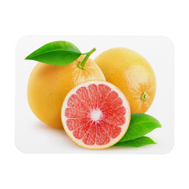 Rosa Grapefruits Magnet (Horizontal)