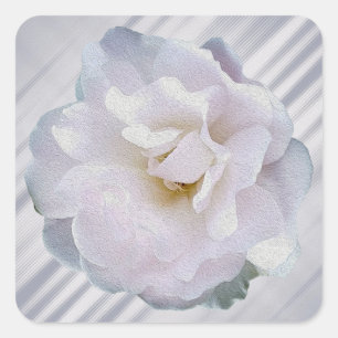 Rosa graue Rose Quadratischer Aufkleber