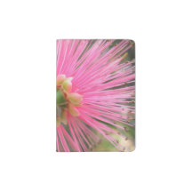 Rosa Gum Tree Blume
