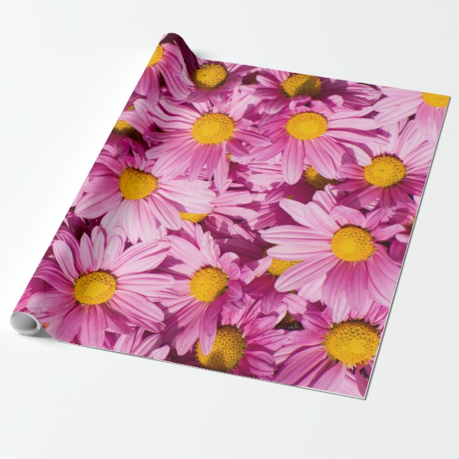 Rosa Halbbild Geschenkpapier (Ungerollt)