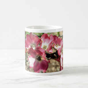 Rosa Hartriegel-Blumen-Foto-Kaffee oder Tee-Tasse Kaffeetasse