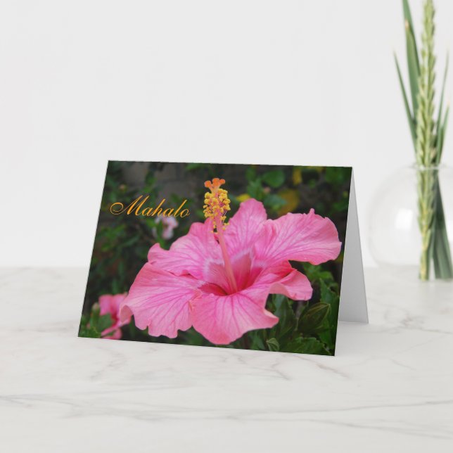 Rosa Hawaii-Hibiskuskarte Dankeskarte (Vorderseite)